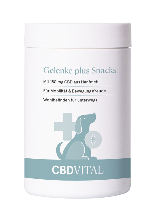 CBD Hunde-Snacks Gelenke plus