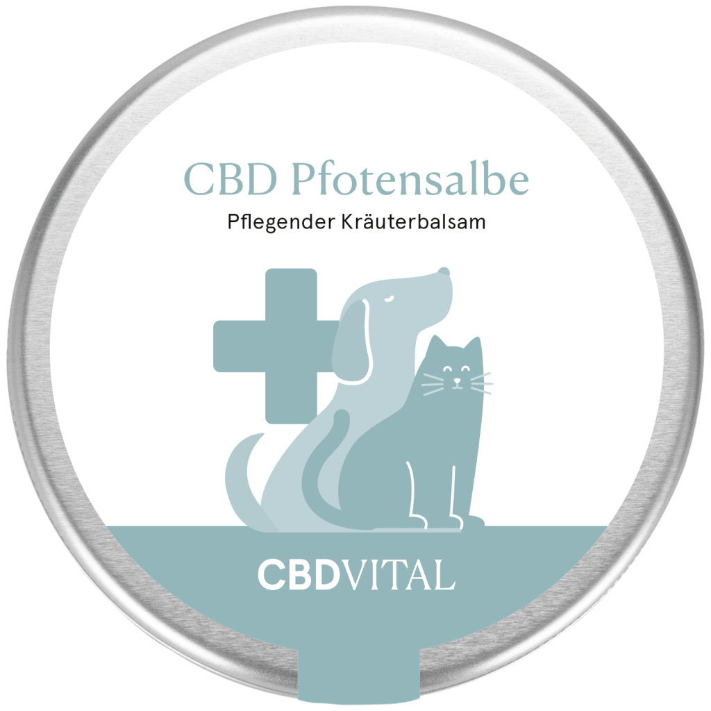 CBD Pfotensalbe