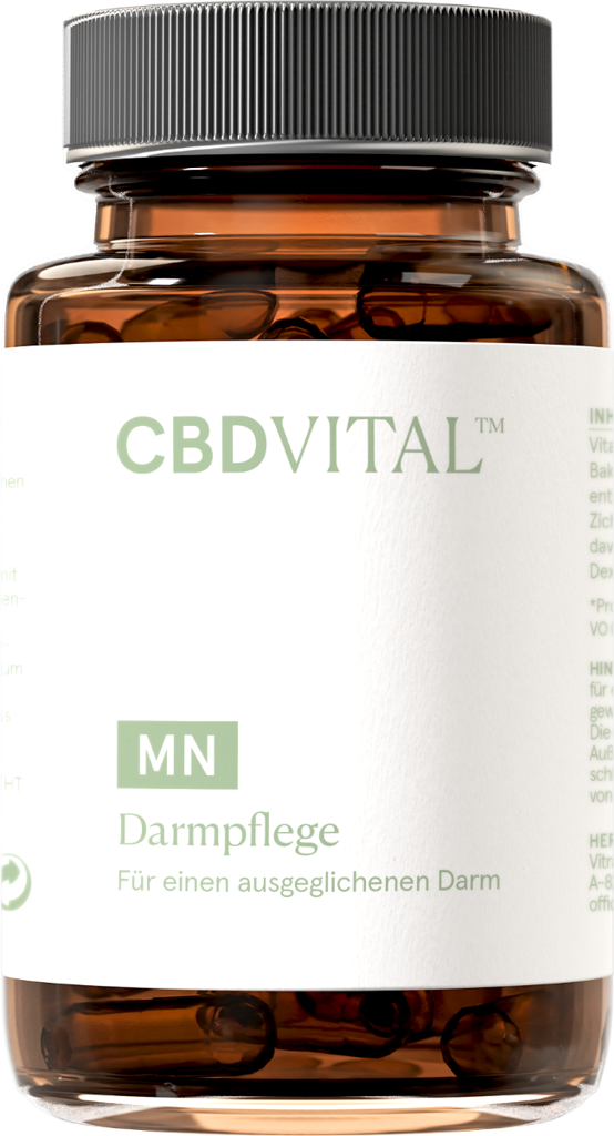 Darmpflege Kapseln