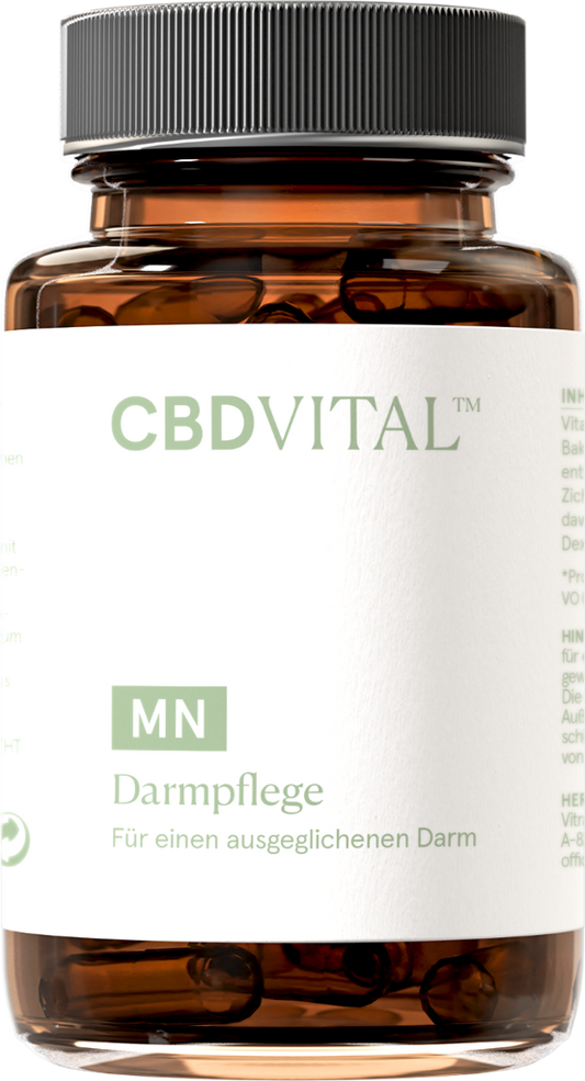 Darmpflege Kapseln
