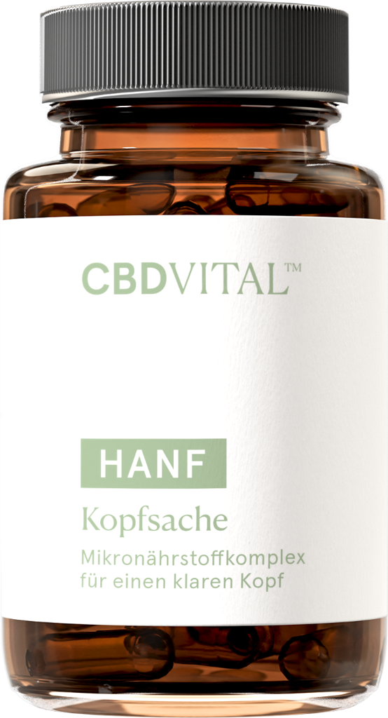 Hanf Kopfsache