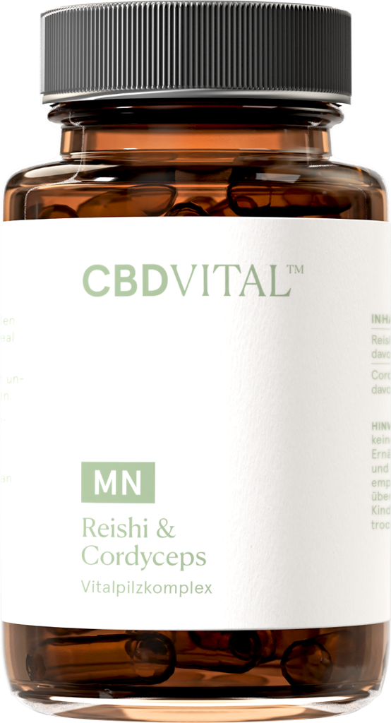 Reishi & Cordiceps